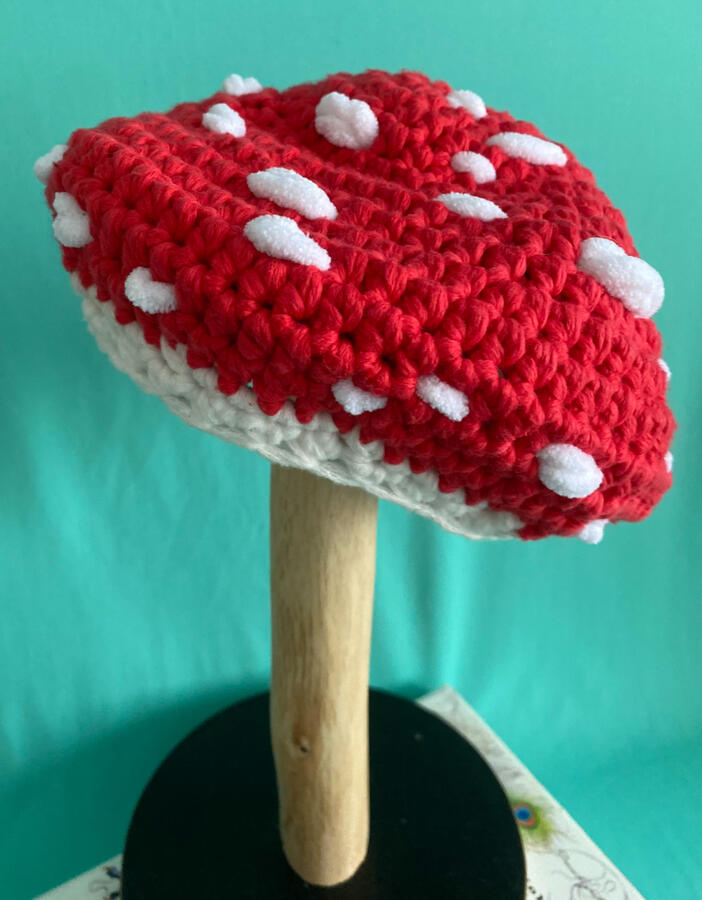 Mushroom Beret