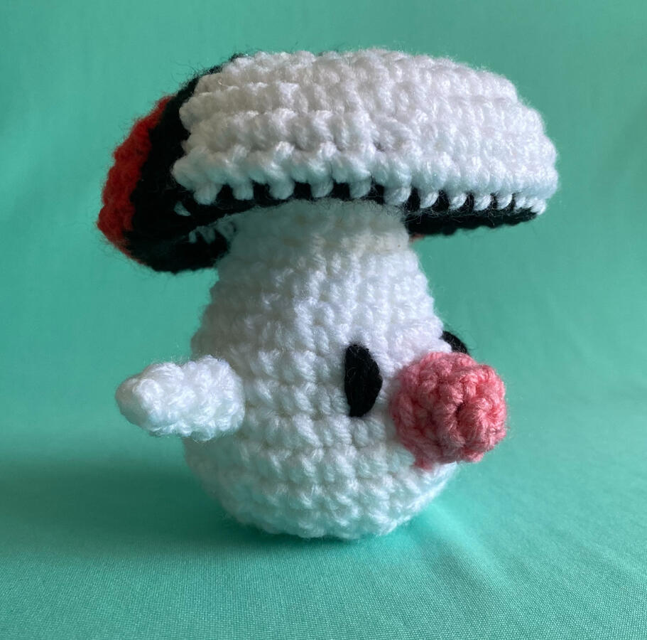 Foongus Crochet