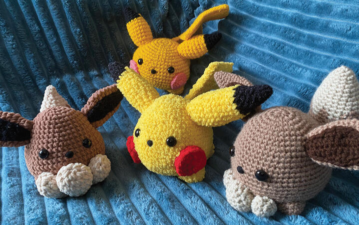 Pikachu &amp; Eevee Plush